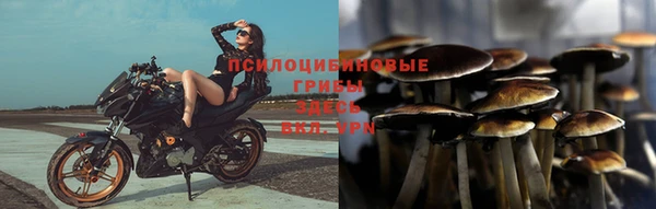 прущие крисы Вязники