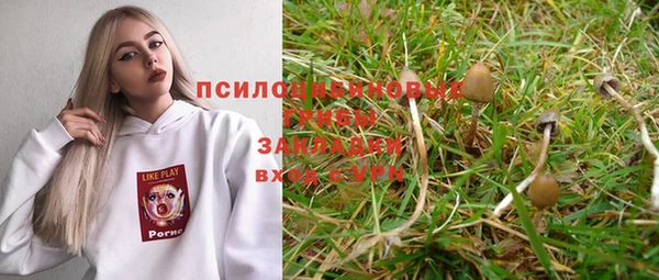 прущие крисы Вязники