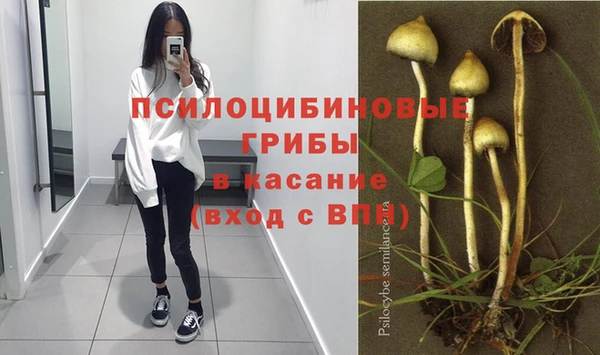 стафф Вяземский